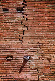 BHO Employer Critical Promo